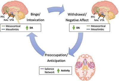 Noninvasive Brain Stimulation for Nicotine Dependence in Schizophrenia: A Mini Review